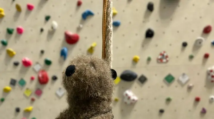 © Patrick Kalinowski