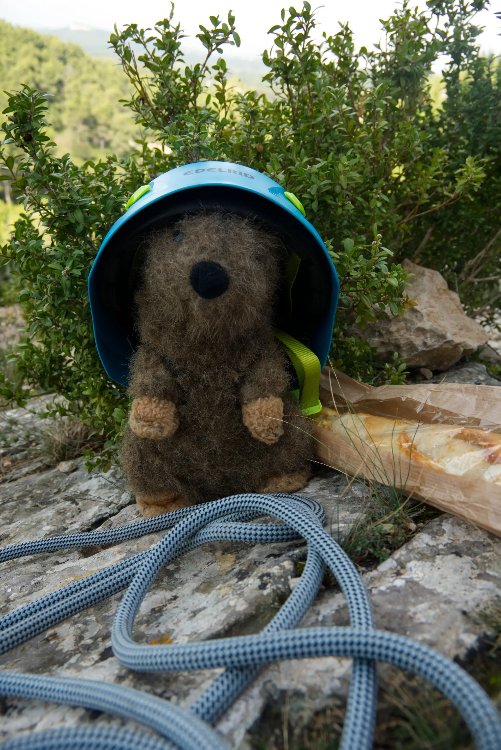 Unser Maskottchen Torre | © Anton Pohlkemper