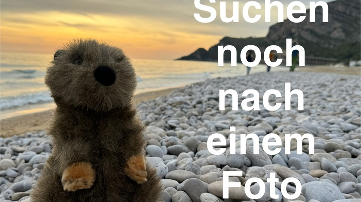 © Anton Pohlkemper
